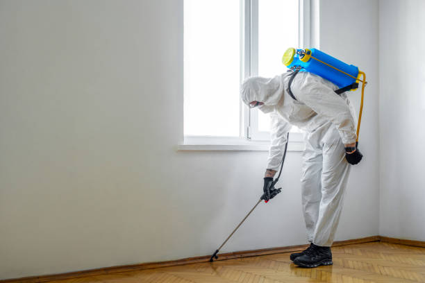 Best Pest Exclusion Services  in Elkhorn City, KY